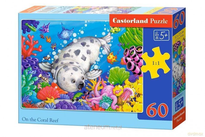 CASTOR 60 el. Na rafie koralowej [PUZZLE]