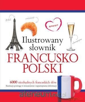 Ilustrowany słownik francusko-polski (różowy) - Tadeusz Woźniak [KSIĄŻKA]