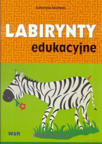 Labirynty edukacyjne - Katarzyna Michalec [KSIĄŻKA]