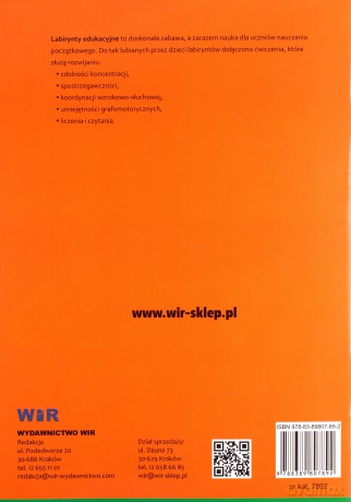 Labirynty edukacyjne - Katarzyna Michalec [KSIĄŻKA]