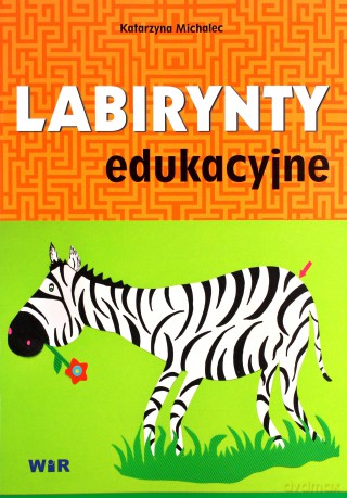 Labirynty edukacyjne - Katarzyna Michalec [KSIĄŻKA]