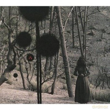 Isis: Not In Rivers, But In Drops (digipack) [CD]