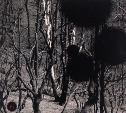 Isis: Not In Rivers, But In Drops (digipack) [CD]