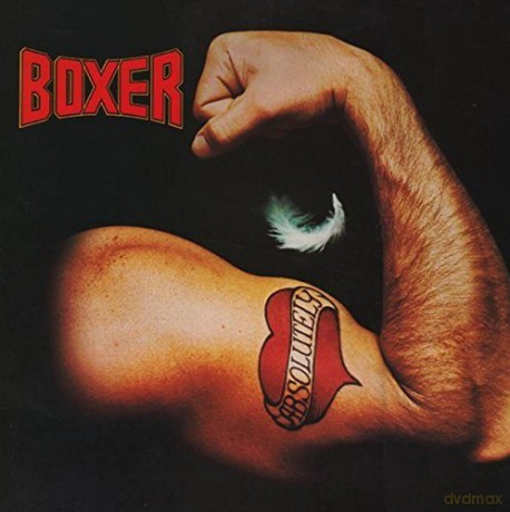 Boxer: Absolutely [CD]