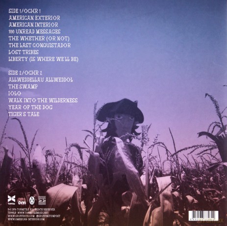 Gruff Rhys: American Interior [Winyl]