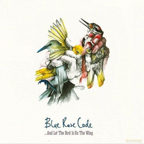 Blue Rose Code: And Lo The Bird Is On The Wing [CD]