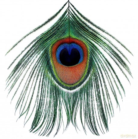 Xtc: Apple Venus vol. 1 [CD]