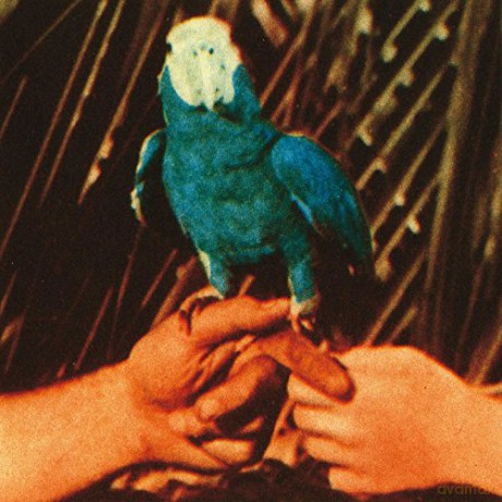 Andrew Bird: Are You Serious [CD]