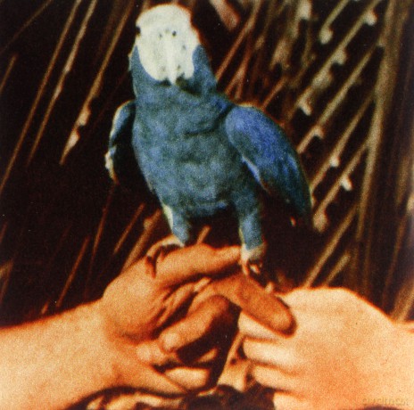 Andrew Bird: Are You Serious [Winyl]