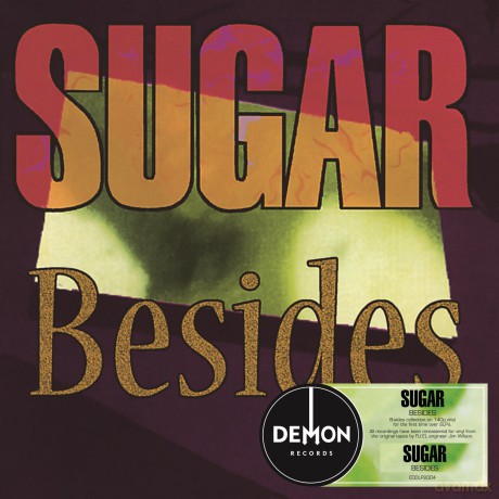 Sugar: Besides [Winyl]