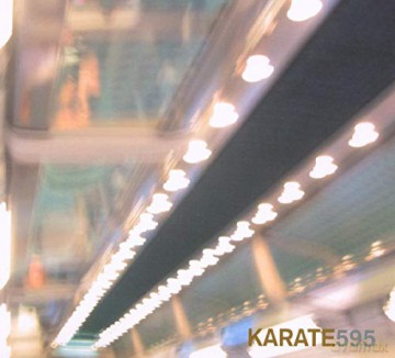 Karate: 595 [CD]