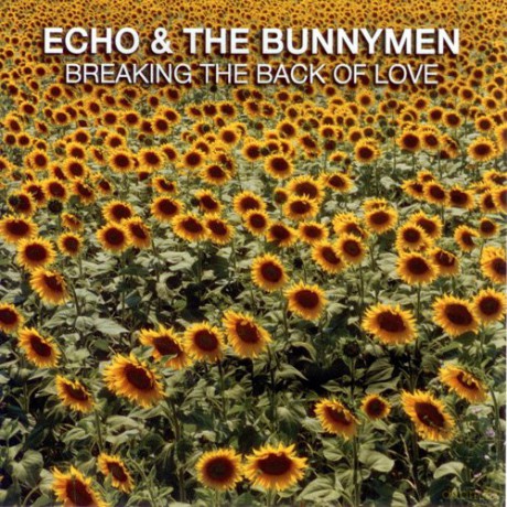 Echo And The Bunnymen: Breaking The Back Of Love [CD]
