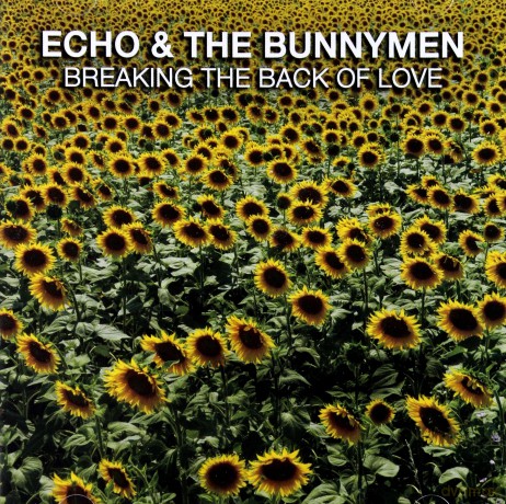 Echo And The Bunnymen: Breaking The Back Of Love [CD]