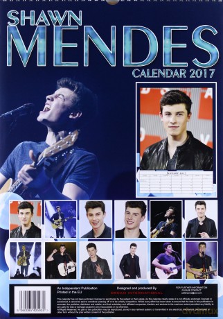 Shawn Mendes: Kalendarz 2017 [KALENDARZ]