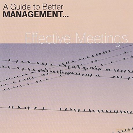 Effective Meetings [CD]