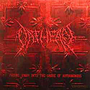 Oathean: Fading Away Into The Grave Of Nothingness [CD]
