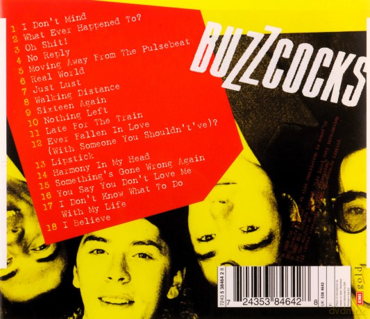 Buzzcocks: Finest Ever Fallen In Love [CD]