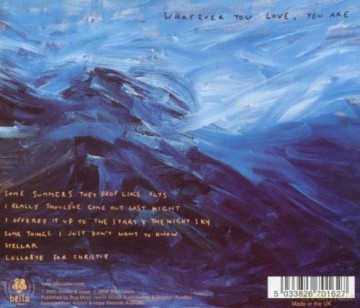 Dirty Three: Whatever You Love [CD]