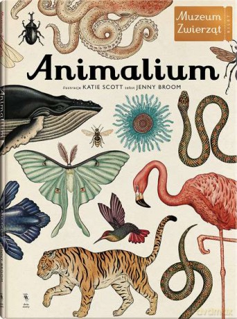 Animalium. Muzeum zwierząt - Jenny Broom (twarda) [KSIĄŻKA]