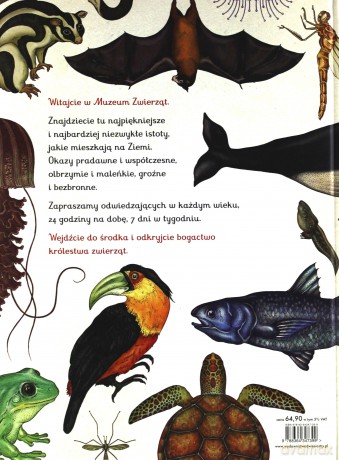 Animalium. Muzeum zwierząt - Jenny Broom (twarda) [KSIĄŻKA]