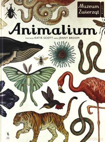 Animalium. Muzeum zwierząt - Jenny Broom (twarda) [KSIĄŻKA]