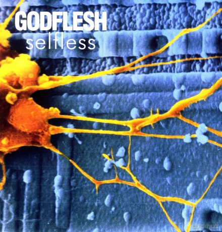 Godflesh: Selfless [Winyl]
