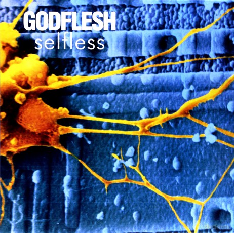 Godflesh: Selfless [Winyl]