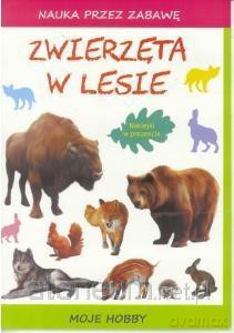 Nauka przez zabawę - Zwierzęta w lesie - Beata Guzowska, Tina Zakierska [KSIĄŻKA]