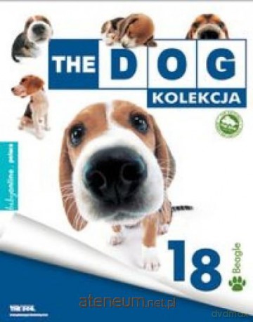 The dog Beagle [KSIĄŻKA]