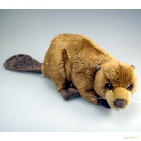 Bóbr 25 cm