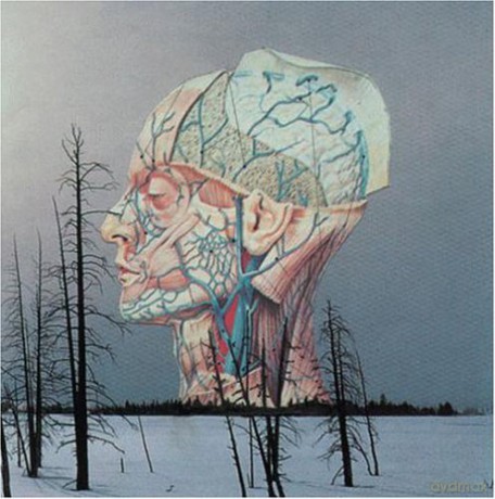 Low: Songs For A Dead Pilot [CD]