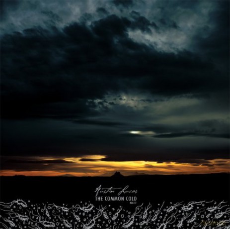 Austin Lucas: The Common Cold [CD]