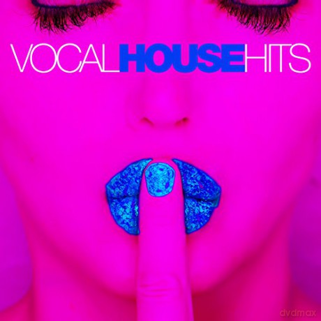 Vocal House Hits [2CD]