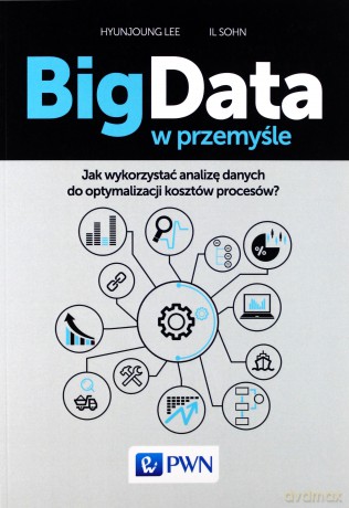 Big data w przemyśle. Jak wykorzystać analizę danych do optymalizacji kosztów procesów - Lee Hyunjoung [KSIĄŻKA]