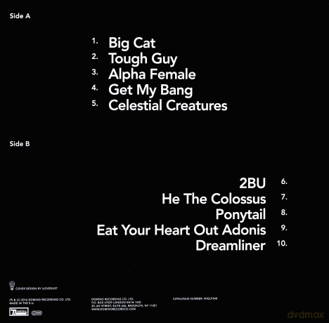 Wild Beasts: Boy King [Winyl]