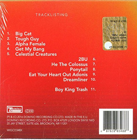 Wild Beasts: Boy King (Deluxe Edition) [CD]