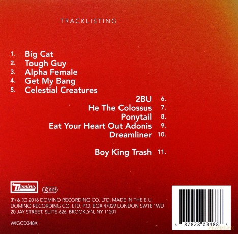 Wild Beasts: Boy King (Deluxe Edition) [CD]