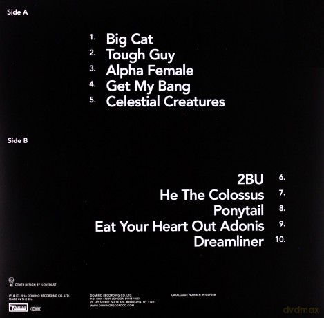 Wild Beasts: Boy King (Deluxe Edition) [Winyl]
