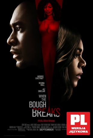 When the Bough Breaks [DVD]