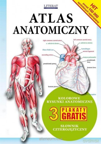 Atlas anatomiczny [KSIĄŻKA]