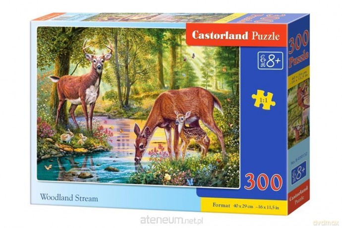 CASTOR 300 el. Woodland Stream [PUZZLE]