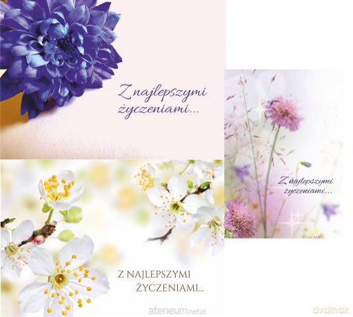 Kartki - Z najlepszymi życzeniami pakiet 6 sztuk