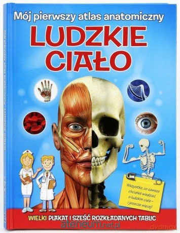 Mój pierwszy atlas anatomiczny. Ludzkie ciało [KSIĄŻKA]