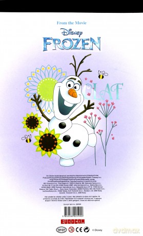 Naklejki w zeszycie Frozen