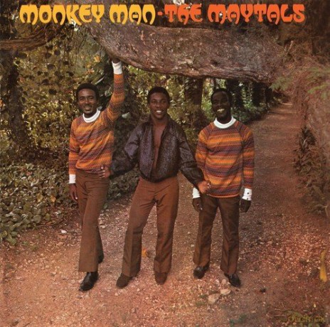 The Maytals: Monkey Man [Winyl]