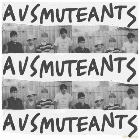 Ausmuteants: Amusements [Winyl]