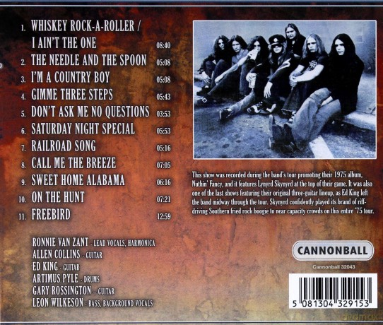 Lynyrd Skynyrd: Southern Fried Rock Boogie [CD]