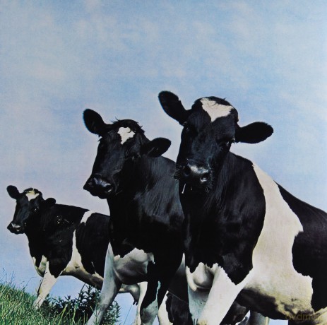 Pink Floyd: Atom Heart Mother [Winyl]