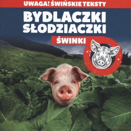 Bydlaczki słodziaczki świnki - Rafał Kowalski [KSIĄŻKA]