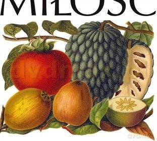 Miłość: S/T (digipack) [CD]